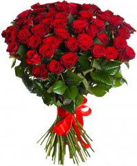 Розы Россия красные Розы Россия красные