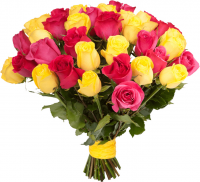 Розы Голландия микс № 1