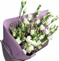 Букет «Конвертик» Букет «Конвертик»
